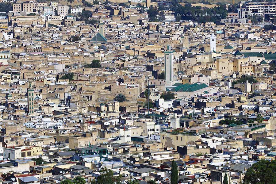 panoramic view of Medina of Fez