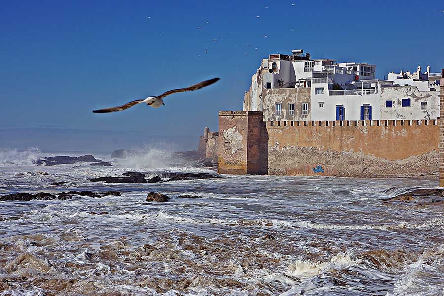 essaouira 4 900