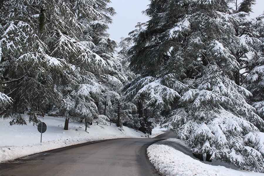 ifrane 2 900 600