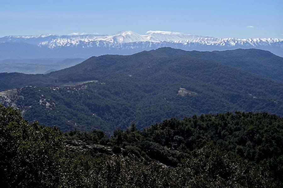 tazzeka mountain 900